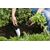Лопата садовая FISKARS 137200