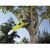 Garden lopper electric Ryobi RPP750S 750W