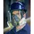 Gas mask 3M 6900 L