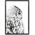 Picture in frame Styler Owl FP068 50X70 cm