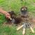 Garden tools set Truper JJ-4 4 pcs
