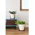 Flower pot Lamela FRIDA 340 19,4l cream