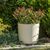 ქოთანი ყვავილის Lamela AURA 200 recycled planter with stand - beige 4,7L