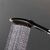 Hansgrohe Dog Shower Head 26640670