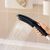 Hansgrohe Dog Shower Head 26640670