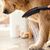 Hansgrohe Dog Shower Head 26640670