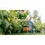 ტრიმერი Bosch Easy GrassCut 26 280W