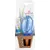 თვითმომრწყველი Scheurich 110/16 BOERDY BLUE