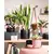 Ceramic flower pot Scheurich 900/15 Ebano 15x13.6 cm
