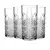 ჭიქა წვენის  Pasabahce TIMELESS 4 pcs 450 ml 952800