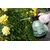 სასხურებელი პნევმატური, ხელის Bradas Aqua Spray Clear AS0150CL 1.5 ლ