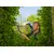 Garden shears Gardena NatureCut 12300-20 23 cm