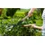 Garden shears Gardena NatureCut 12300-20 23 cm