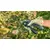 Cordless pruner Bosch Easy Prune 3.6V