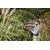 Hedgecutter Black+Decker BEHTS501-QS 600W