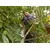 Hedgecutter Black+Decker BEHTS501-QS 600W