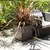 ქოთანი პლასტმასის EDA Plastiques POT CARRE VOLCANIA DECOR PIERRE 39,5x39,5x43,5სმ 31ლ