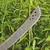 მაჩეტე Fiskars Solid CL-561 15"