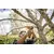 Folding garden saw Fiskars SW68 1067552