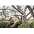 Folding garden saw Fiskars SW68 1067552