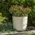 Горшок цветочный Lamela AURA 350 recycled planter with stand - beige 35L
