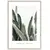 Картина в рамке Styler Strelitzia BR005 50X70 см