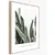 Картина в рамке Styler Strelitzia BR005 50X70 см