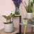 Ceramic pot Amber pot round taupe matt - h15,5xd17cm