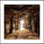 Картина в рамке Styler AB188 BROWN FOREST 50X50