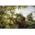 Pruner Fiskars Solid P321