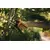 Секатор Fiskars PowerGear L P961 26 мм