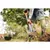 Shovel Fiskars Solid 1066716 116.6 cm