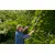 Garden shears Gardena TeleCut 12304-20 23 cm