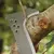 Machete saw Fiskars 1051233