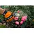 Pruner Bradas KT-V1035 25 mm