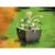 Plastic flower pot FORM PLASTIC Muna square 2733-014 Ø30 anthracite