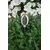 Garden meter Bradas WL-M15 4 functions