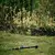 სპლინკერი Fiskars S-M Solid 1070835