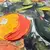 Painting STYLER HP013 ORANGES 70X100 cm