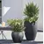 ეზოს პლასტმასის ქოთანი Scheurich 282/48 PLANTER LINEO SCHWARZ GRANIT