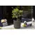 ქოთანი ყვავილის Capi Europe Vase cylinder Groove 19x21სმ მწვანე