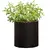 პლასტმასის ქოთანი ყვავილებისთვის Keter Cylinder Planter S 7 ლ