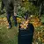 Leaf Rake Fiskars 1077116