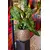 Горшок цветочный Capi Europe Planter ball Clay NL 43x41см черно-золотой