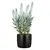 Горшок керамический цветочный Scheurich 900/18 Ebano 18x16.2 см