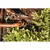Landing cone Fiskars Solid 1057080