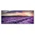 A picture on glass Styler LAVENDER FIELD EX372 50X125