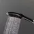 Hansgrohe Dog Shower Head 26640670