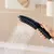 Hansgrohe Dog Shower Head 26640670