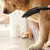 Hansgrohe Dog Shower Head 26640670